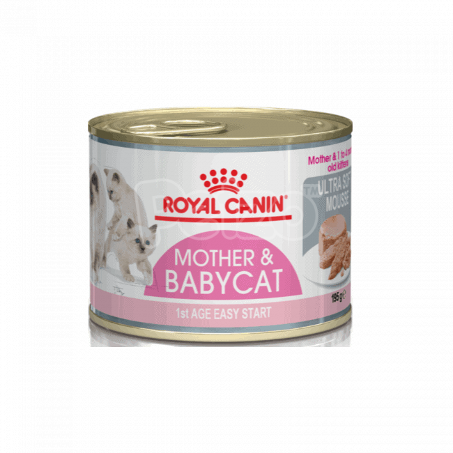 royal canin mother and baby cat canned food