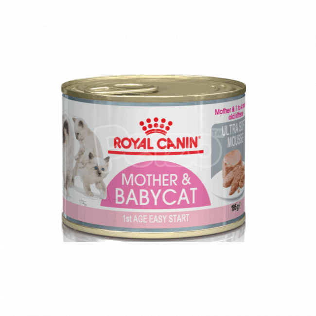 royal canin baby cat canned food