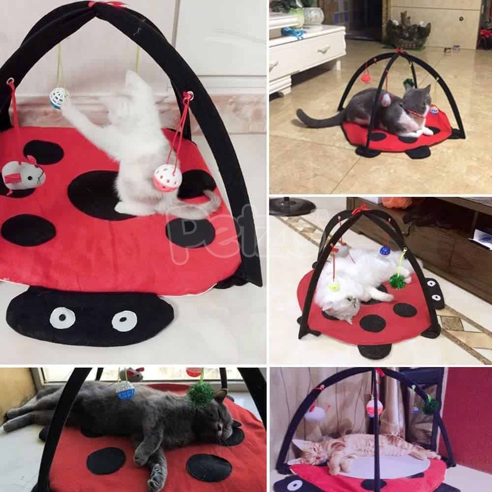 Cat Play Mat Foldable Interactive Cat Tent Cat Activity Center with Hanging  Toys