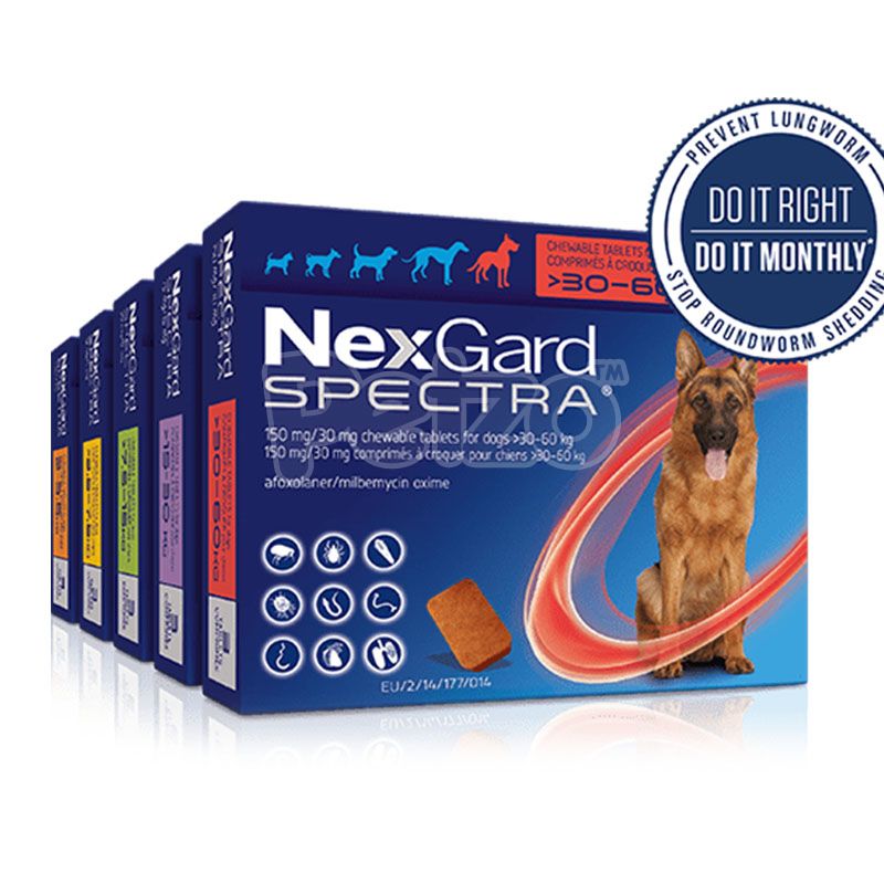 Nexgard spectra. НЕКСГАРД спектра. НЕКСГАРД спектра для собак 10-20 кг. Фронтлайн НЕКСГАРД спектра. 911757 НЕКСГАРД спектра.