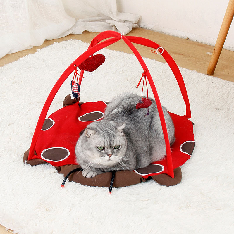 Cat Play Mat Tent with Interactive Hanging Toys – Petzo