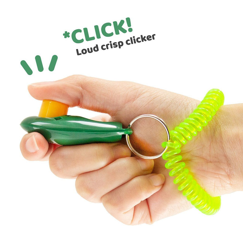 Finger clicker, dog training, random colors. AP-TR-22860 animallpar