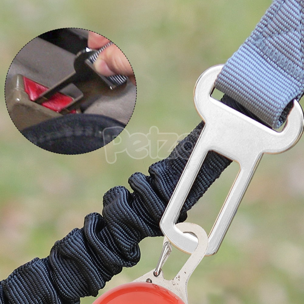 https://www.petzo.net/wp-content/uploads/2023/03/Pet-Traction-Rope-Anti-burst-Stretchy-Durable-Leash-with-Vehicle-Buckle-8-min.jpg