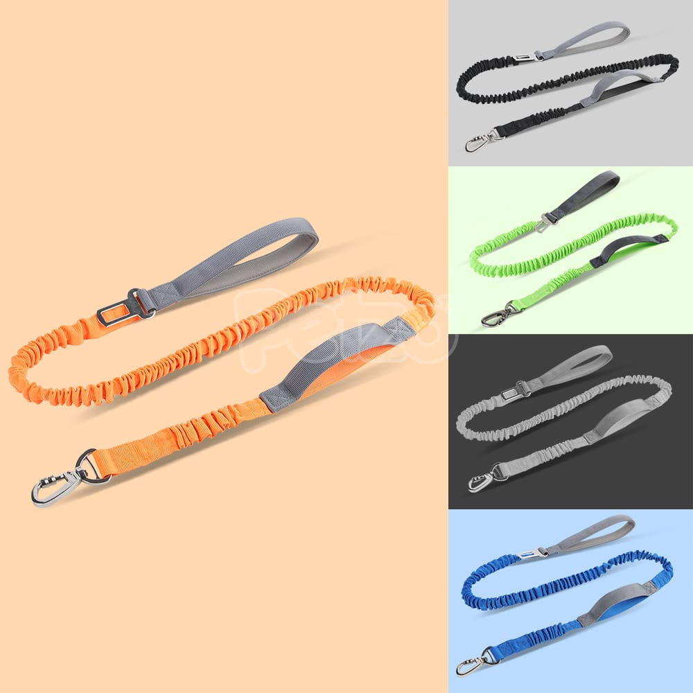 https://www.petzo.net/wp-content/uploads/2023/03/Pet-Traction-Rope-Anti-burst-Stretchy-Durable-Leash-with-Vehicle-Buckle-min.jpg