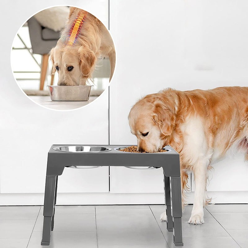 https://www.petzo.net/wp-content/uploads/2023/05/Elevated-Double-Stainless-Steel-Bowl-with-5-Height-Adjustable-Raised-Stand-Dog-Bowl-2-min.jpg
