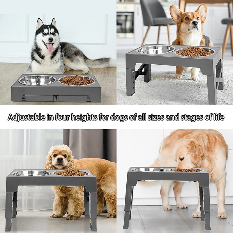 Elevated Dog Bowls 4 Height Adjustable Raised Dog Bowl with 2 Stainless  Steel Dog Food Bowls for Small Medium Large Dogs, Pets