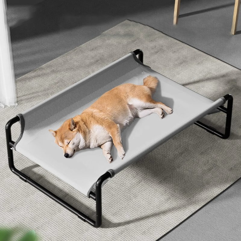 https://www.petzo.net/wp-content/uploads/2023/08/Elevated-Dog-Bed-with-Steel-Framed-Bed-for-Medium-Big-Dog-6-min.jpg