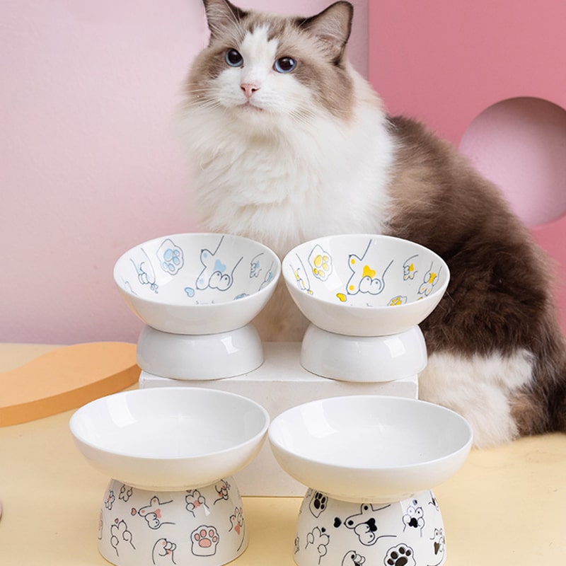https://www.petzo.net/wp-content/uploads/2023/09/Cartoon-Prints-Ceramic-Raised-Cat-Dog-Bowl-11-min.jpg