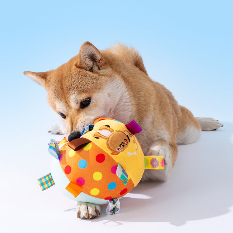 https://www.petzo.net/wp-content/uploads/2023/09/Squishy-Throwing-Ball-Plush-Toy-Ringing-Ball-Interactive-Training-Dog-Toy-5-min.jpg
