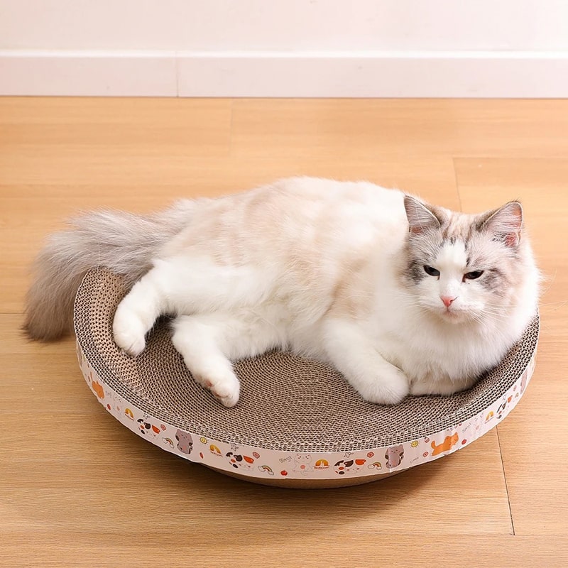 https://www.petzo.net/wp-content/uploads/2023/10/Round-Extra-Large-Cat-Scratching-Board-Scratcher-Pad-Lounge-for-Cat-7-min.jpg